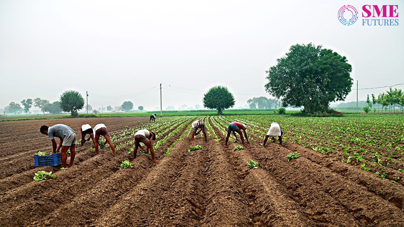 government announces green clearances in the union budget 2022-23