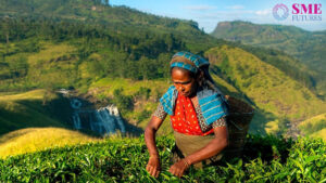 Tea industry seeks minimum floor price