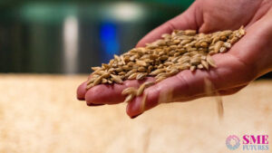 Rise in Wheat prices and demand, says wheat traders