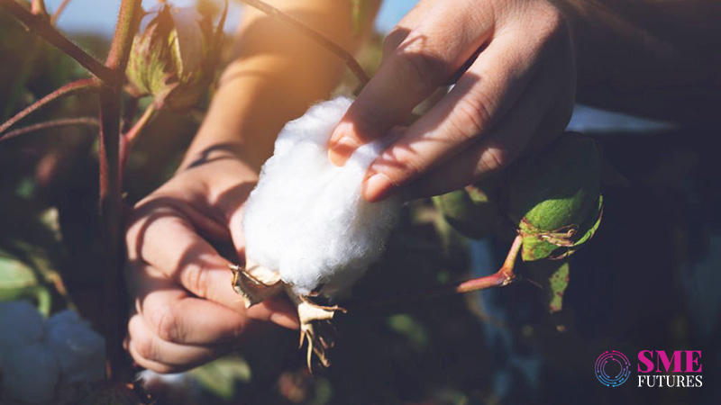 duty free import of raw cotton to push textile exports