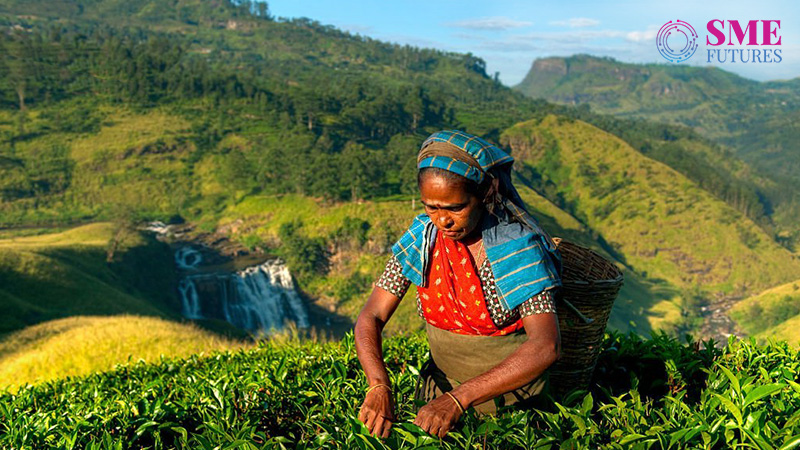 Indian orthodox tea exporter to benefit from Sri Lanka crisis