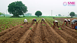 Budget wishlist: Economy can touch $5 tn if lives of farmers improve