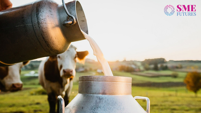 dairy can transform farmer lives