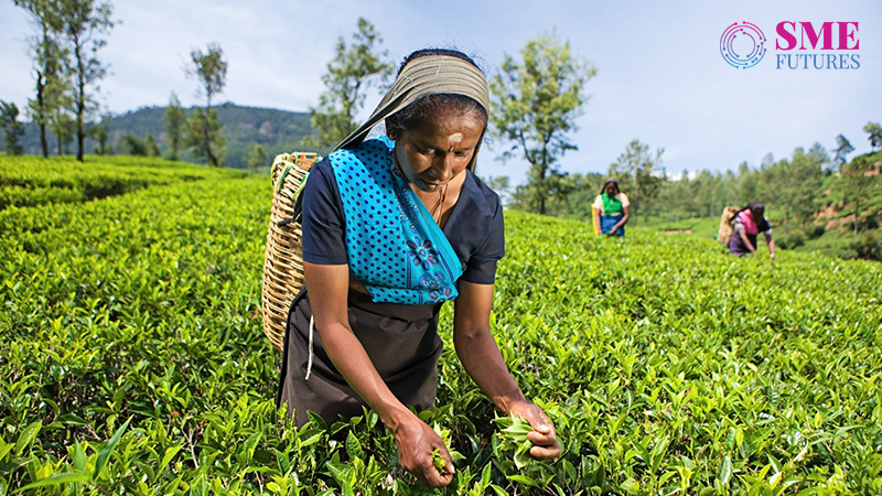 tea board seeks Rs 1000 cr industry