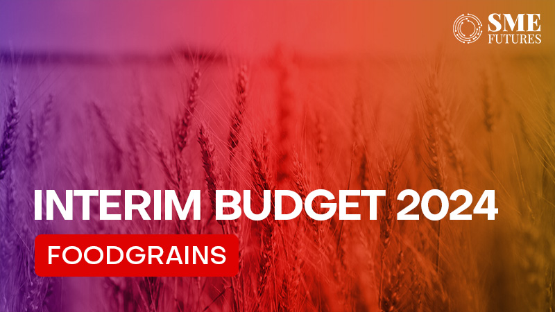 intermin budget to boost vishwakarma scheme and free food grains