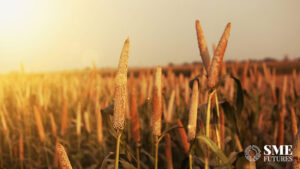 punjab farmer exporting RTC millets to Australia