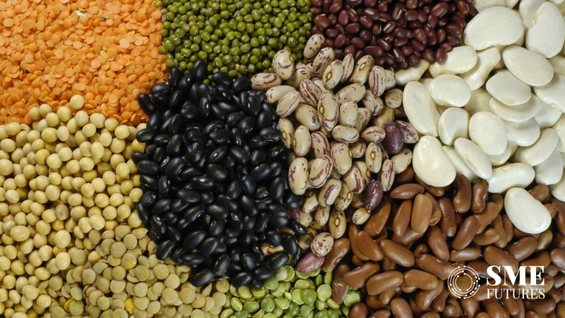 Govt warns against forward trading of pulses