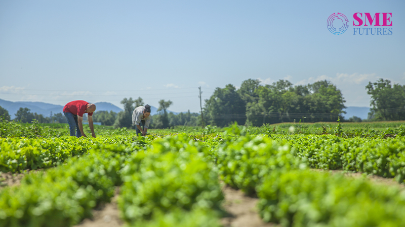 NGOs are helping farmers in doing Organic farming