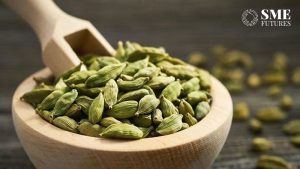 Spices board set to increase cardamom productivity export