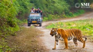 Jungle tourism in India wildlife tourism