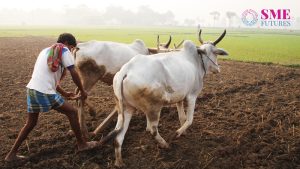 7 schemes for Rs 14000 crore for farmers livelihoods