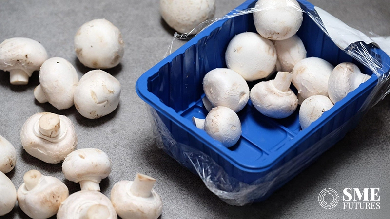 zomato ceo clarifies on mushroom labelled with future packing