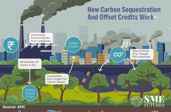 carbon credit works