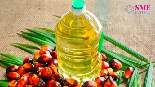 govt urges on oil palm mission to raise plantation