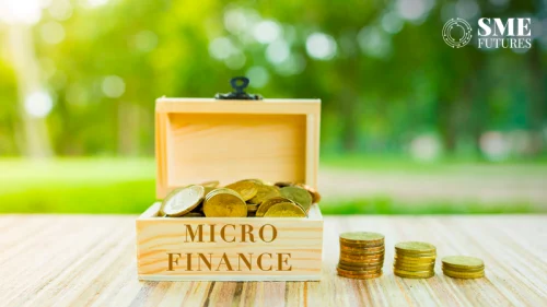 micro finance sector grows in India