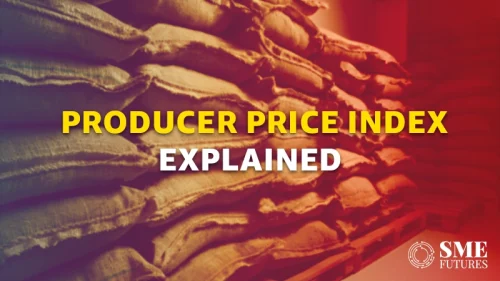 Producer Price Index explained