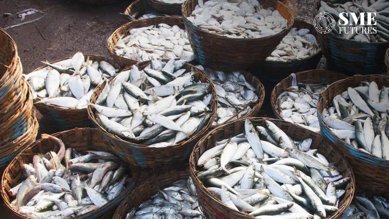 India to enter global fisheries certification